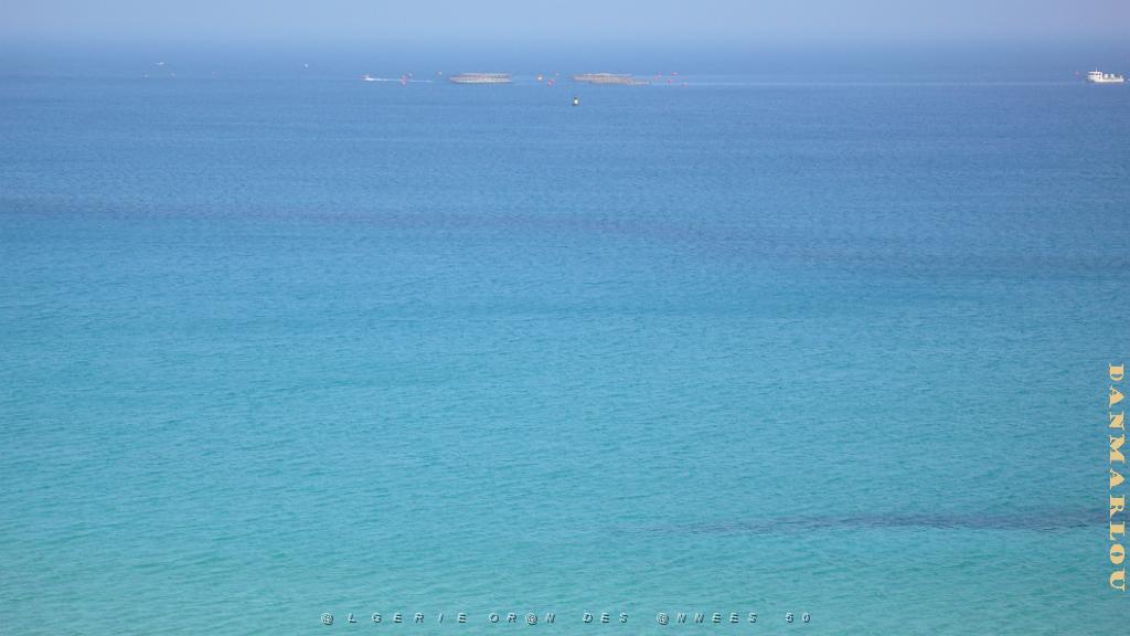 P1150631 Beaute.JPG